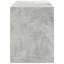 Agnus Rectangle Accent Chest-1648736973
