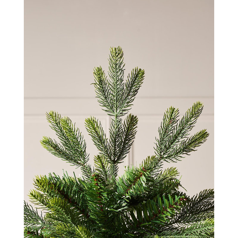 8' H Himalayan Fir Christmas Tree