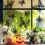 Adhésif décoratif Jabrion