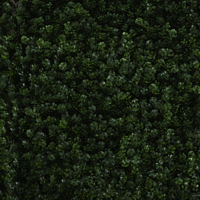 Primrue Saw Toothed Boxwood Greenery Panels