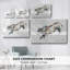 Modern Bull Study II-Gallery Wrapped Canvas-548340582