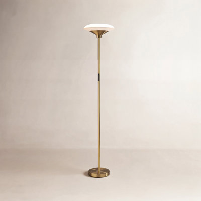 Asberry 71'' LED Floor Lamp