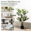 47 plantes