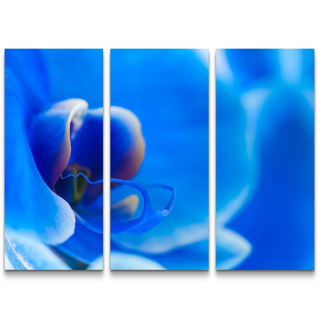 3-tlg. Leinwandbilder-Set Blaue Orchidee