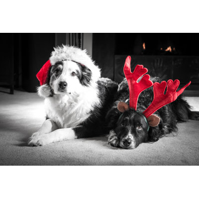 Christmas Card Dogs - Wrapped Canvas Print