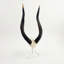 African Nyala V-Skull on Lucite Stand
