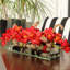 Centre de table orchidée Driftwood Cymbidium-898860774-898860769