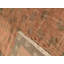 Secondina Floral Area Rug in Beige