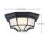 Ensemble de 2 luminaires de plafond à 1 lumière de 8,5 po avec verre givré et finition noir mat-137003261-137003258