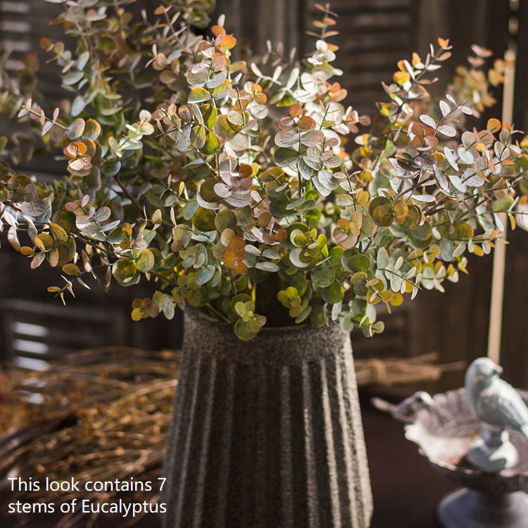 Tige de eucalyptus rustique, 1 tige