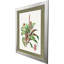 Cactus, art floral encadré