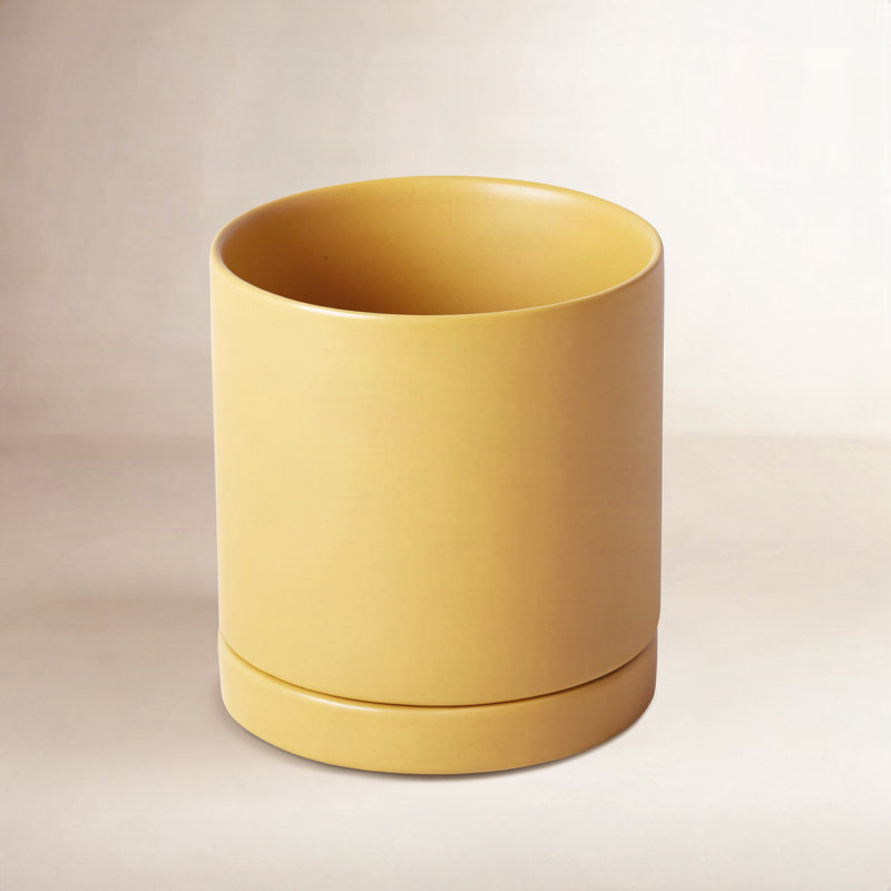 Pot de fleurs en céramique Carlotta, H 4,75 po x l 4,25 po x P 4,25 po, Ocre