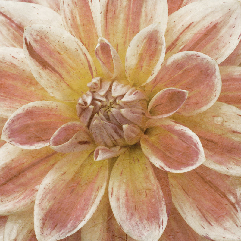 Fleur murale V, H 36 po x l 36 po x P 1,25 po