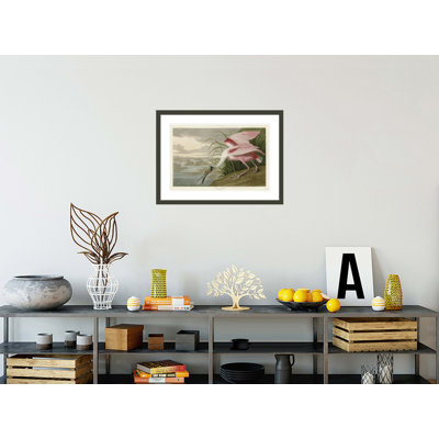 «Spatule rosée» par John James Audubon, impression giclée sur cadre