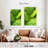 Harnek Striped Green Leaves-108255947