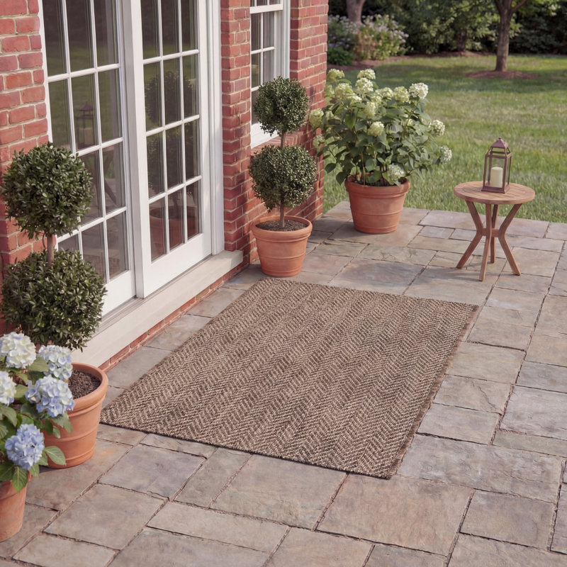 Sanyra Performance Chevron Indoor/Outdoor Area Rug, Rectangle 8' x 10', Brown/Beige