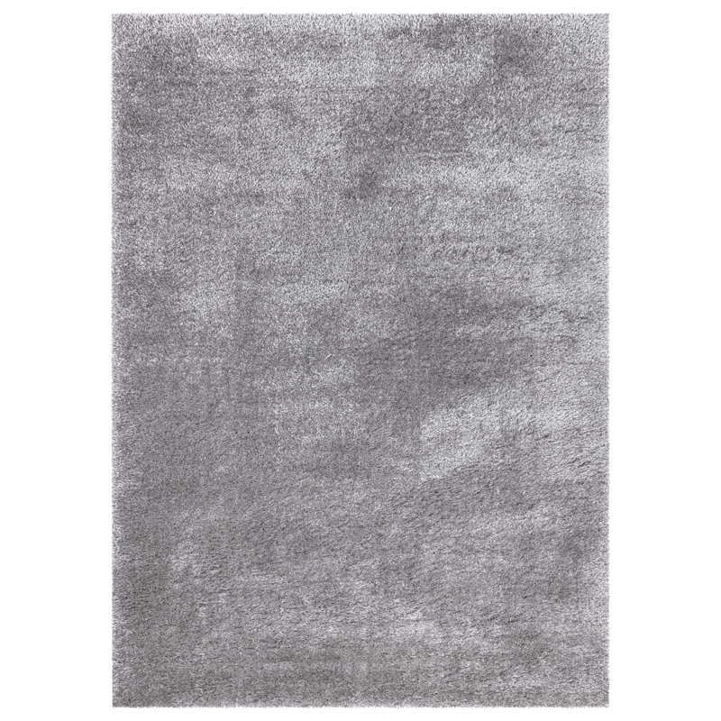 100% Polypropylene Solid Colour Machine Tufted Shag Indoor / Outdoor Area Rug, Rectangle 1'12" x 3'7", Silver