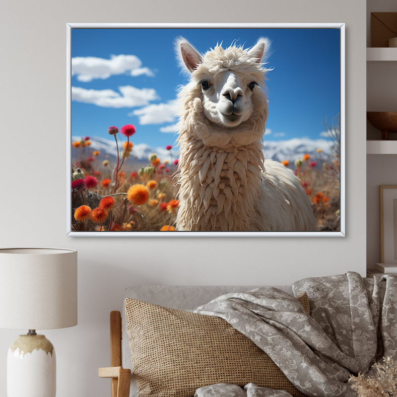 Beige noir lama dans un champ de fleurs, reproduction de photo sur toile, H 24 po x l 32 po x P 1 po, Cadre flottant blanc