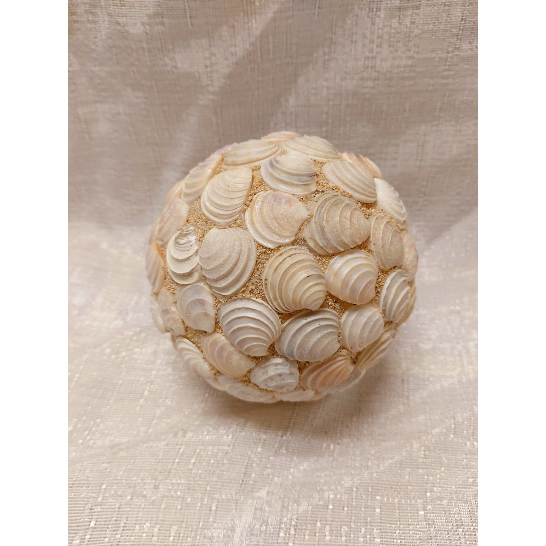 Lietz Sea Shell Ball Sculpture (Set of 6) Highland Dunes 