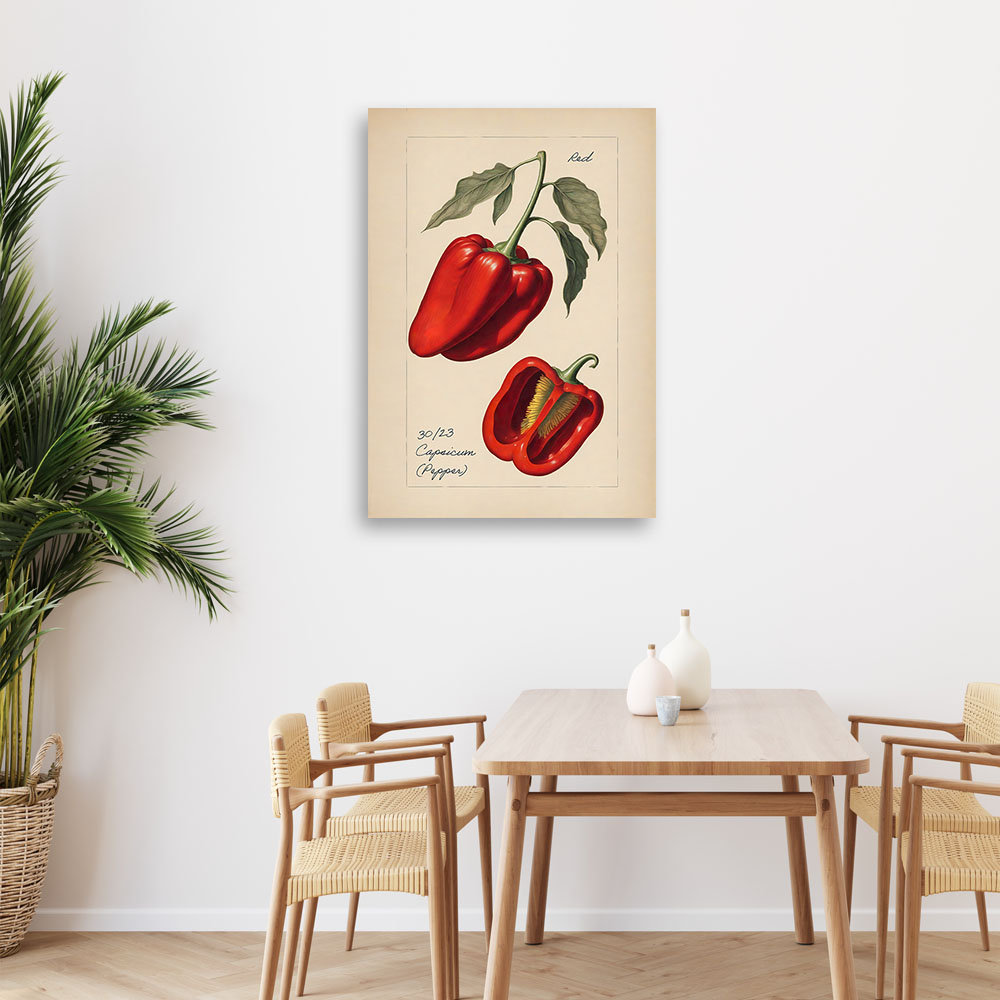 Leinwanddruck, Vintage Gemüse Paprika - Wrapped Canvas Print