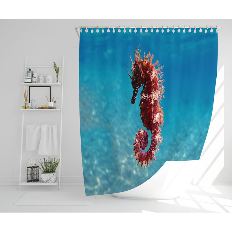 Eliz 13 Piece Polyester Shower Curtain Set
