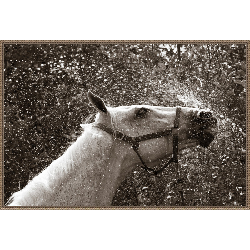 «After a Shower» par Jim Dratfield, reproduction d'art sur toile encadrée