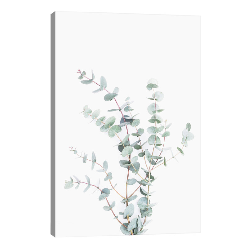 Botanical I - Wrapped Canvas Print, 101.6 cm H x 66.04 cm W x 1.91 cm D