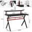 Computer Desk