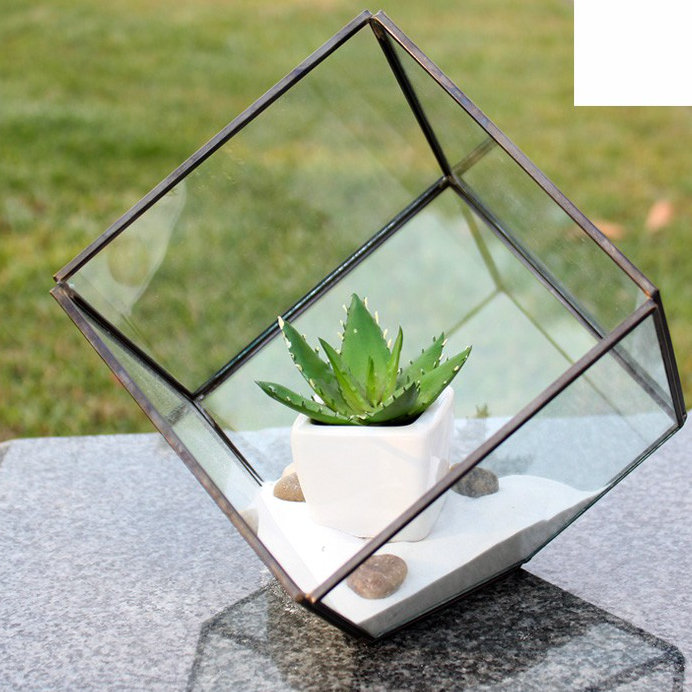 Terrarium en verre Raekwon Heptahedron, H 11,5 po x l 12 po x P 12 po, Noir