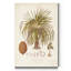 « Antique tropical Palm II », reproduction d’art sur toile tendue-725852940