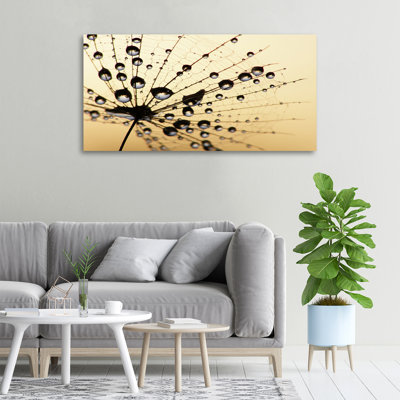 The Dandelion Was Sown - Wrapped Canvas Print