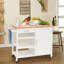 Omri Wood Kitchen Island