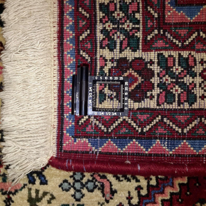 Paisleyann Oriental Area Rug in Beige