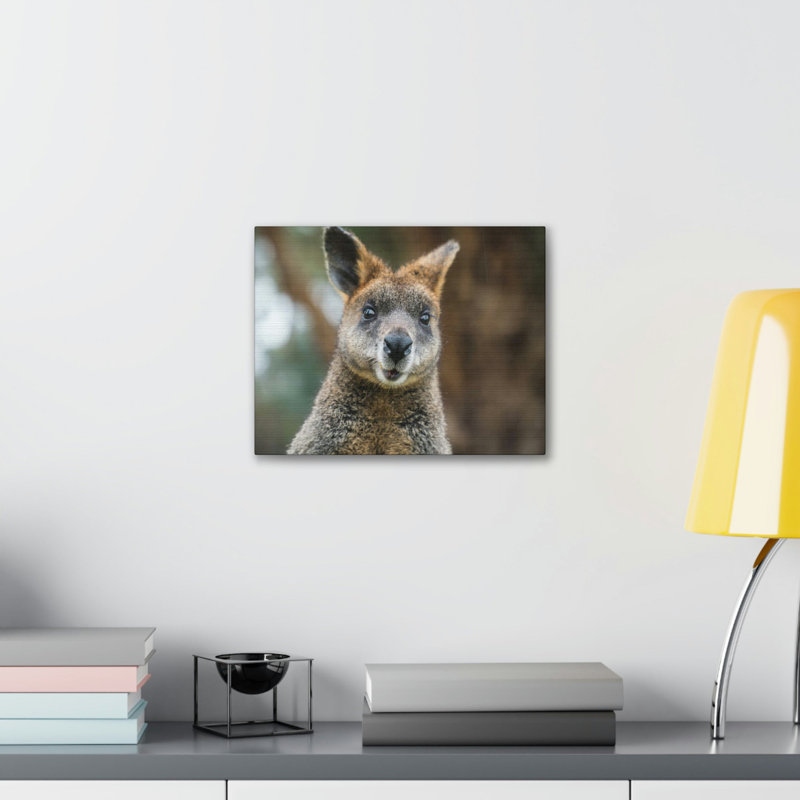 Drôle de Wallaby