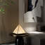 Novelty Lamp