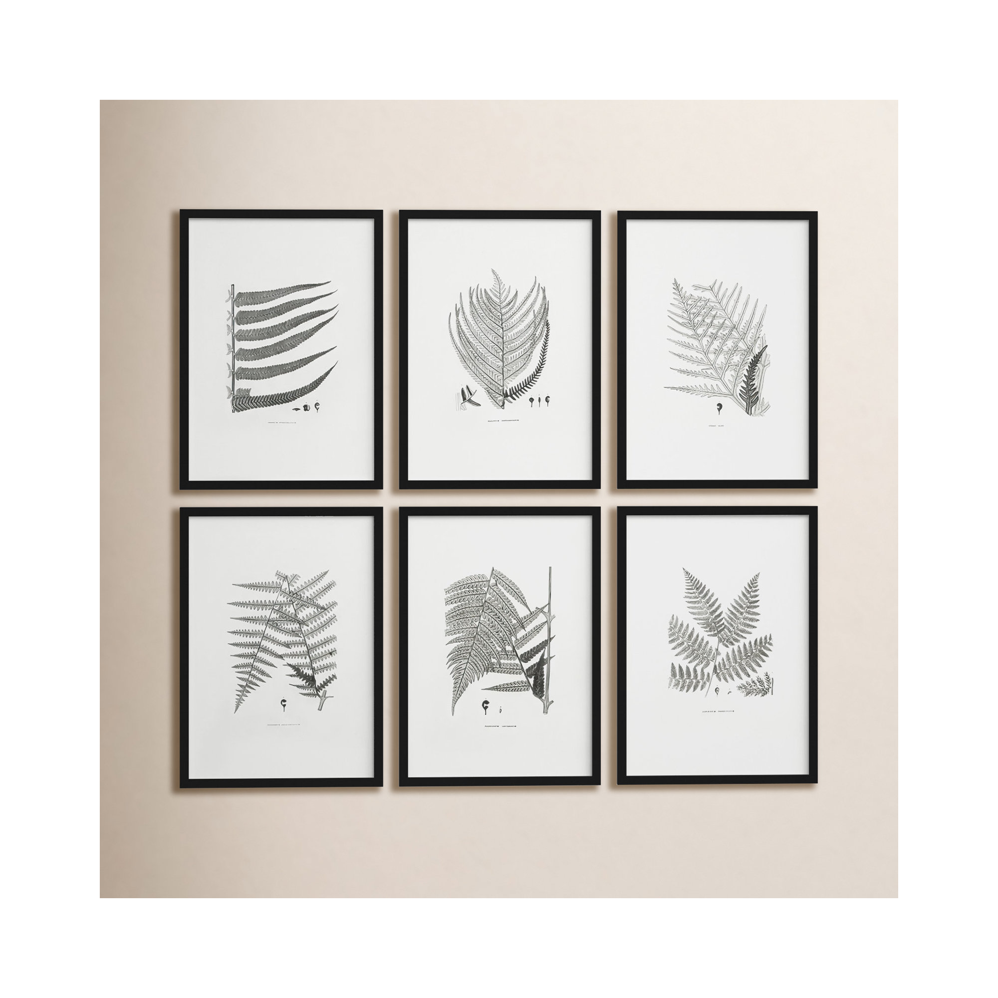 Welles Gray-Tone Fern Monochromatic Prints, Set of 6