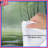 Misty Forest Scene Comforter-123418178