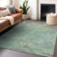 Tapis intérieur / extérieur lavable à la machine Cinead ACN1710 Seafoam-104713176