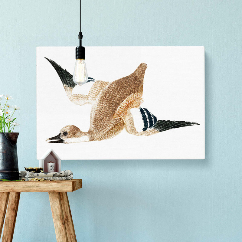 Flying Duck by Johan Teyler - Wrapped Canvas, 40cm H x 60cm W x 3cm D