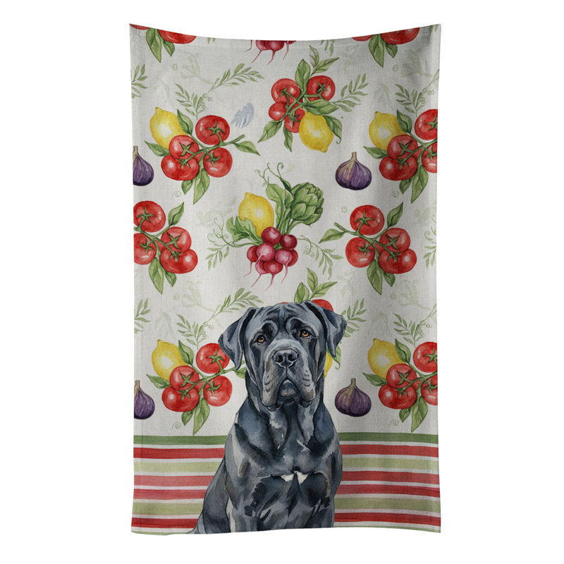 Torchon noir napolitain, Black Neapolitan Mastiff