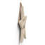 Witch You Say Witch Like Wooden Star Plaque