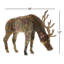 Forest Stag Grazing
