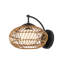 Carriage Armed Sconce