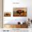 Wild Bison On The Field-440172409