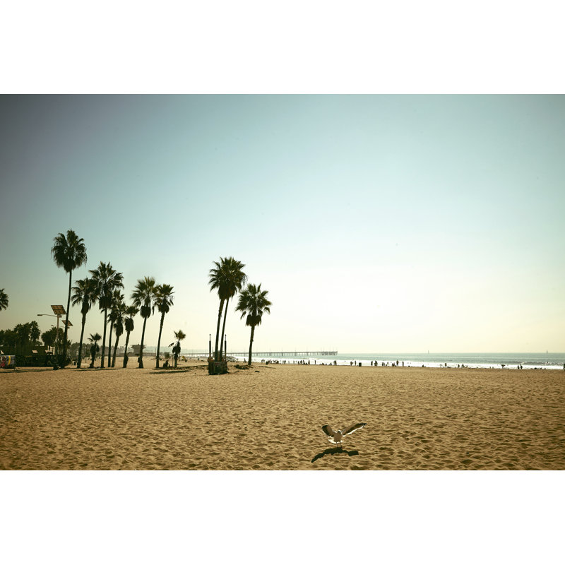 Seagull On The Beach - Wrapped Canvas Print, 61cm H x 91cm W