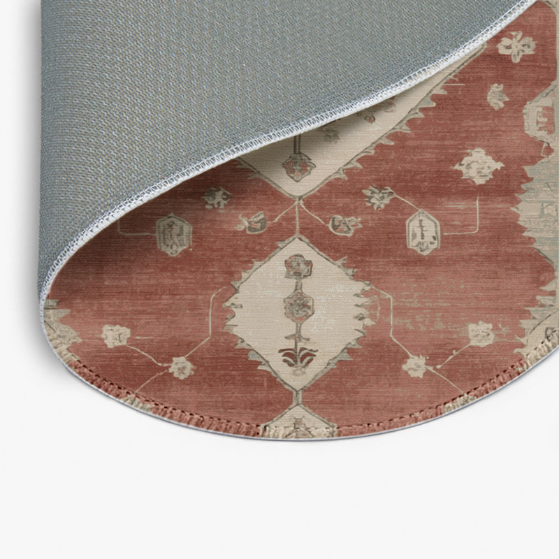 Tapis intérieur et extérieur brun Overdyed, Rond 5 pi