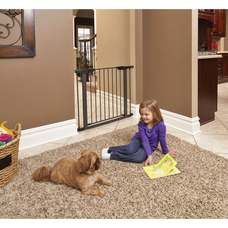 Barrière en acier pour animaux MidWest Homes for Pet, H 30 po x l 30 po x P 1 po, Noir, noir, noir, noir