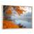 Cadre naturel flottant