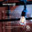 Ambience Pro 48 ft. Plug-In Outdoor Patio LED String Lights with 15 Warm White S14 Edison Bulbs, Black Cord, Weatherproof