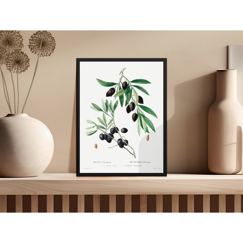 Melissa No Frame Print, 24x32